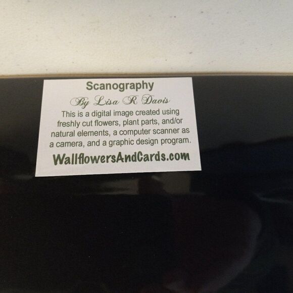 Lisa Davis Flower Posters - Picture 4 of 5